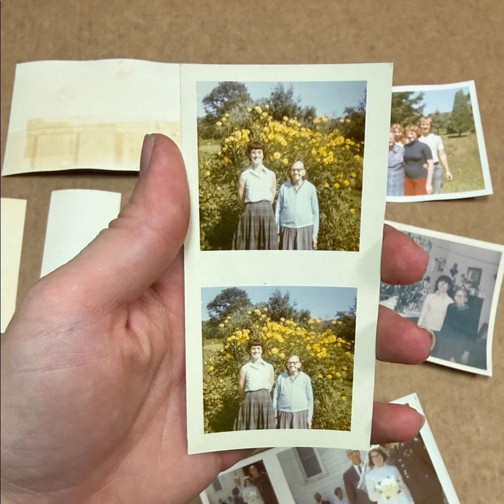 Vintage Photo Collection